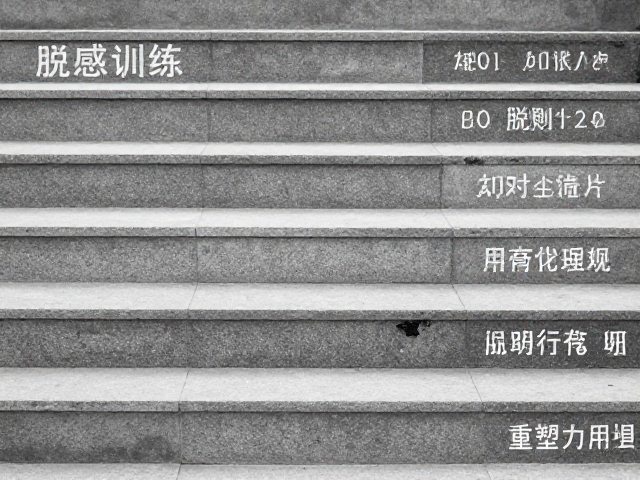 阶梯式脱敏的设计原则与执行细节