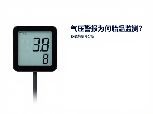 气压警报为何需胎温监测？传感器重量对数据精度的影响分析