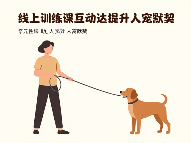 握持姿势与力量传导机制