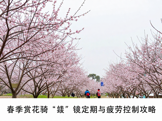 春季赏花骑行路线推荐，锁定花期与疲劳控制攻略