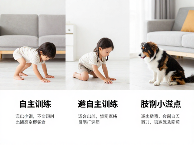 家庭场景中的自主行为塑造