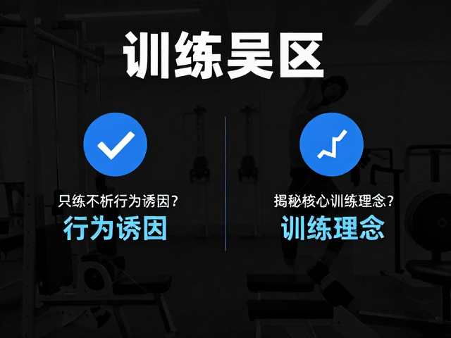 从理论到实践的闭环验证