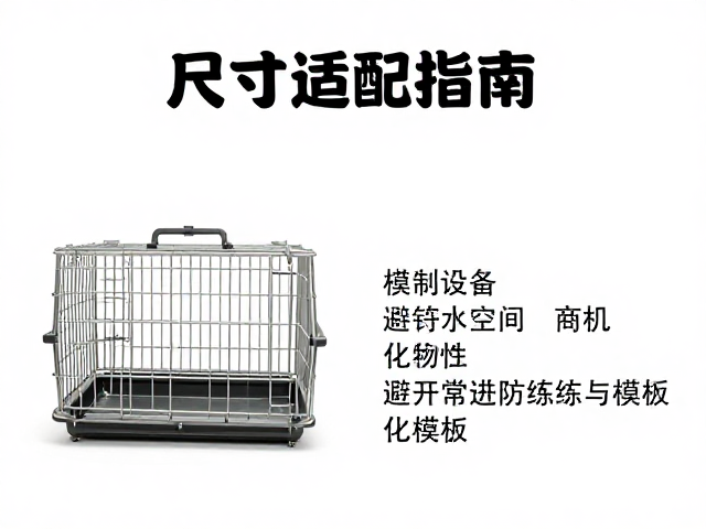 行为观察与渐进式适应策略