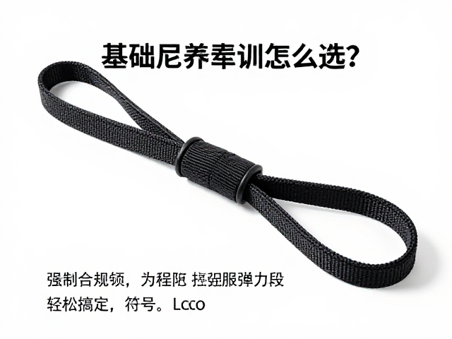 基础尼龙材质的特性与耐用性分析