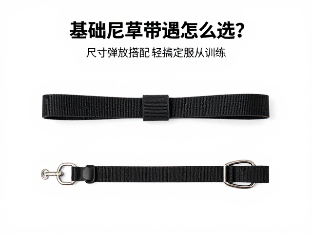 尺寸规格与犬只体型的匹配逻辑