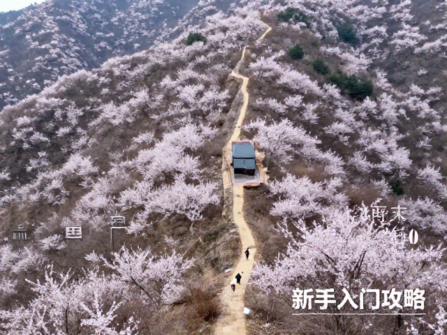 周末山间小环线｜春季赏花新手入门攻略