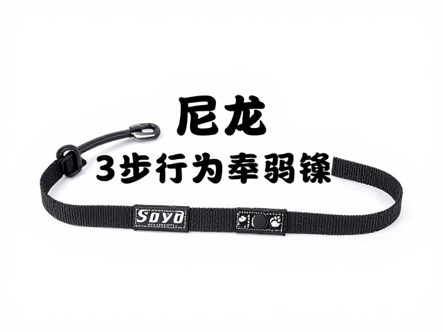 行为纠正第二步:强化注意力与从属关系