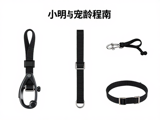 尺寸选择与宠物适配指南