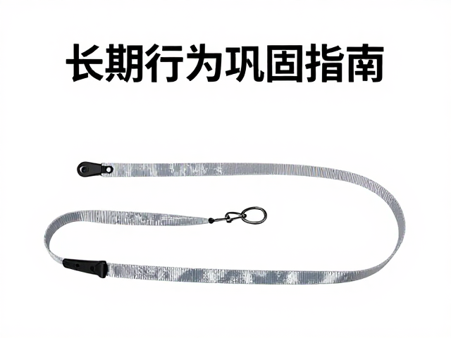 环境适应性与场景化训练策略