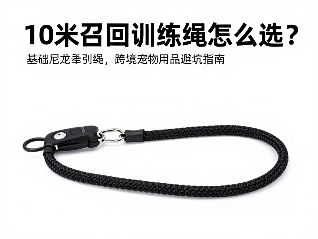 长度场景与跨境物流的适配逻辑
