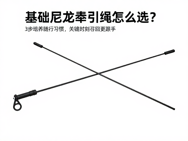 行为引导与召回训练:从物理连接到心理认同