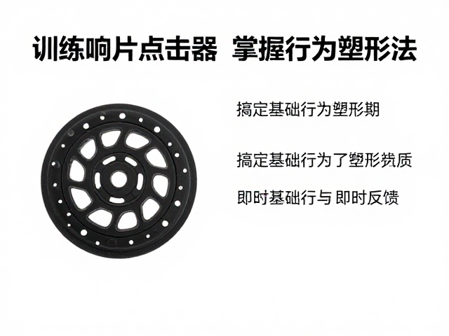 常见误区与即时反馈技巧