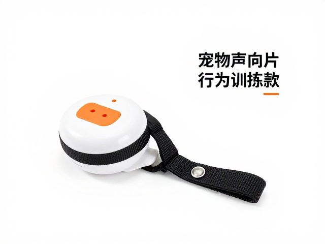 声音反馈机制与行为关联原理