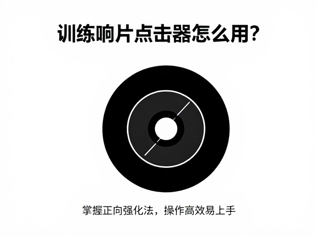 常见误区规避与训练效率提升技巧