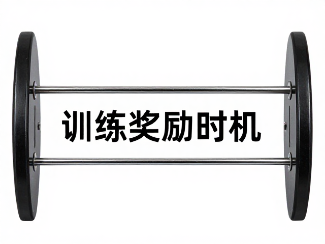 精准捕捉行为瞬间与强化时机的把控