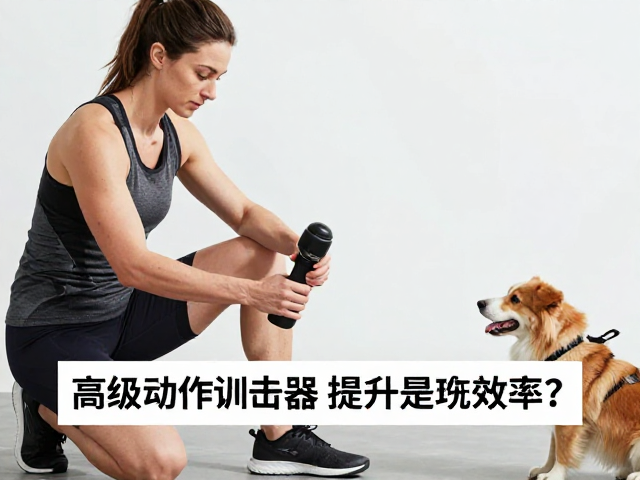 训练者与动物的心理协同