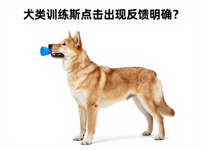 消除混淆与维持动力