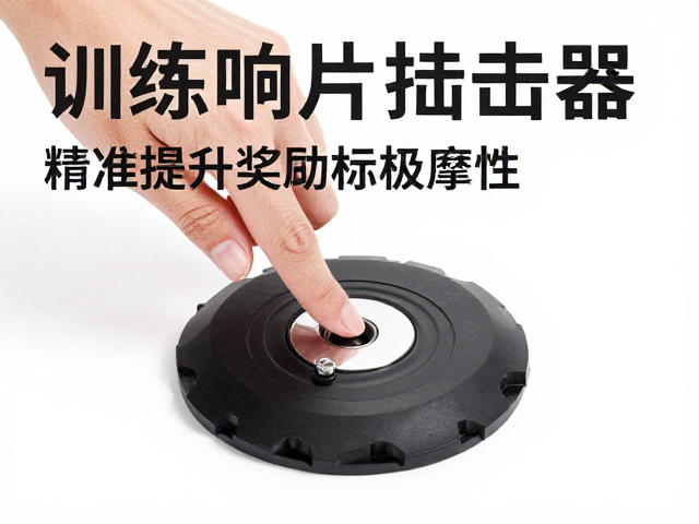 常见误区与标准化训练流程的构建