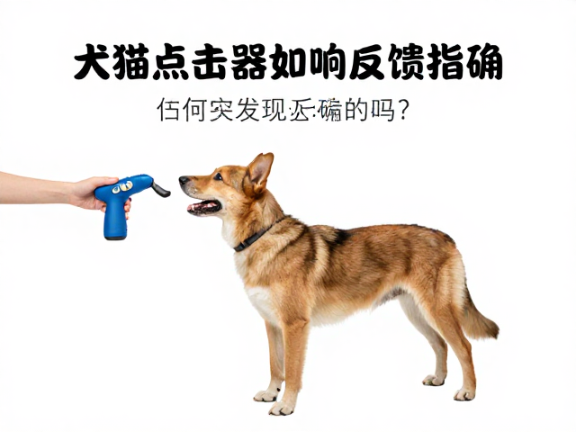 犬类训练师推荐，响片点击器如何实现反馈明确？