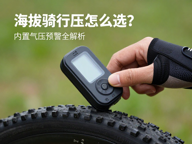高海拔骑行胎压怎么选?内置气压预警仪,精准测量范围全解析