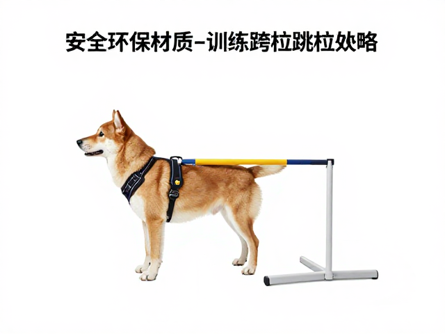尺寸测量与贴合度测试的标准流程