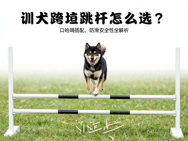 安全高度与渐进式训练