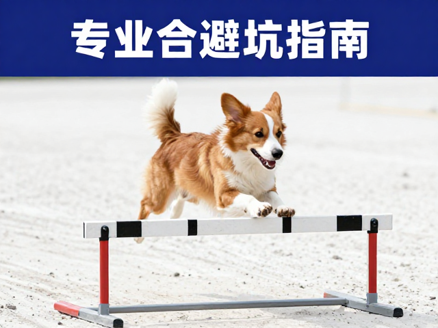 跨栏跳杆:动作规范与安全防护