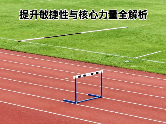 双轨并行的生理机制与训练效益