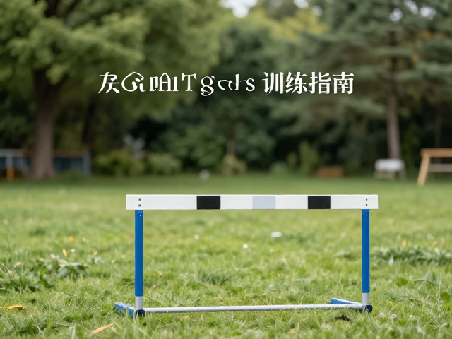 环境设置与安全标准规范