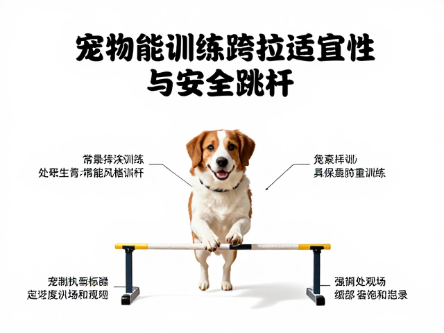 常见风险识别与应急处理措施