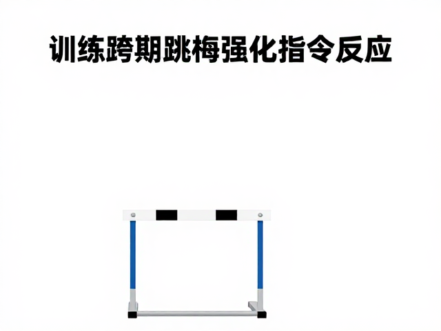 训练跨栏跳杆强化指令反应，避免长期暴晒的科学养宠指南
