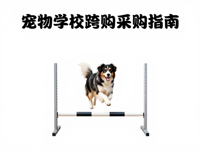跨栏跳杆训练的渐进式执行逻辑