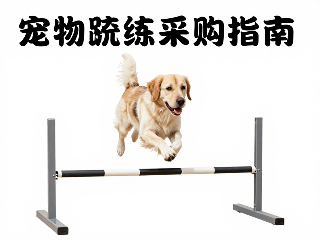 宠物学校采购指南，如何科学训练跨栏跳杆与服从性