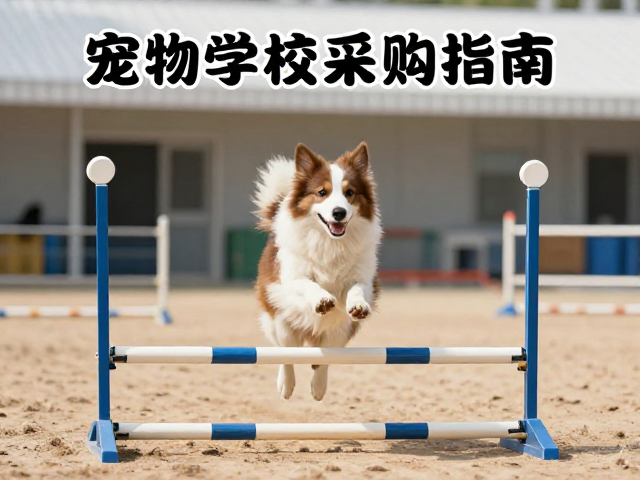 服从性训练中的注意力锚点构建