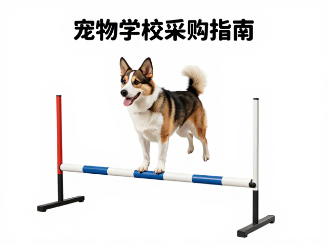 训练数据记录与安全风险评估