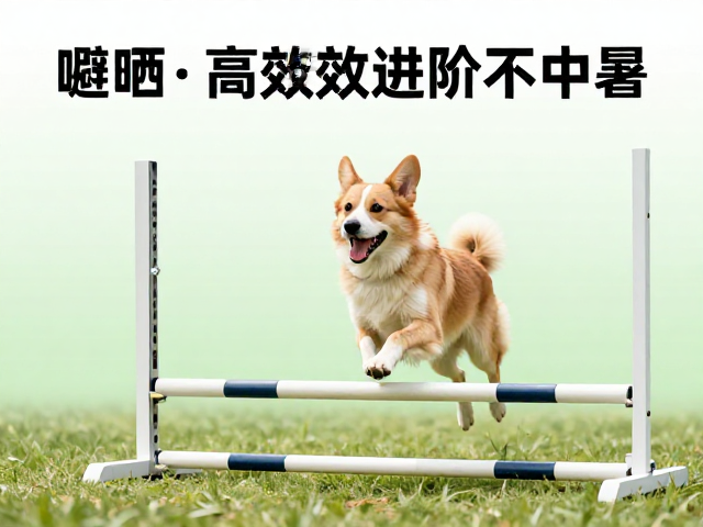 规避高温风险的安全作业指南