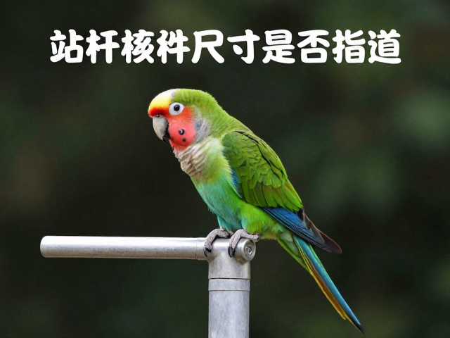 鹦鹉站杆尺寸是否合适?损坏部件及时更换指南
