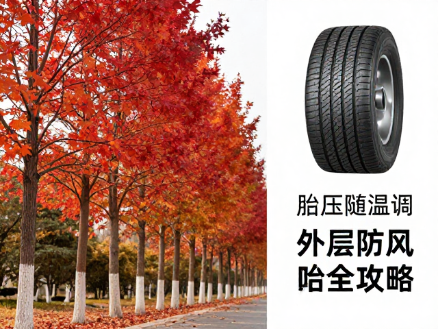 秋季红叶行，胎压随温调，外层防风防水全攻略