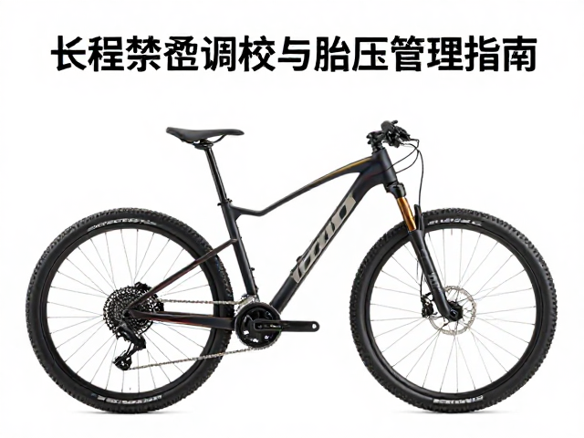 混合路况骑行攻略，长行程悬挂调校与胎压管理指南