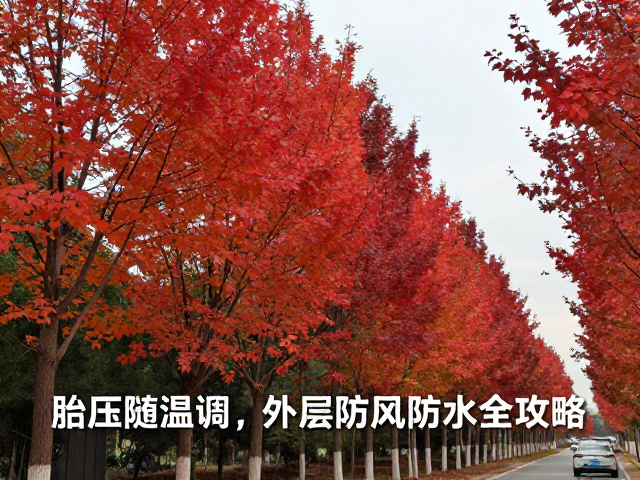 秋季红叶行，胎压随温调，外层防风防水全攻略