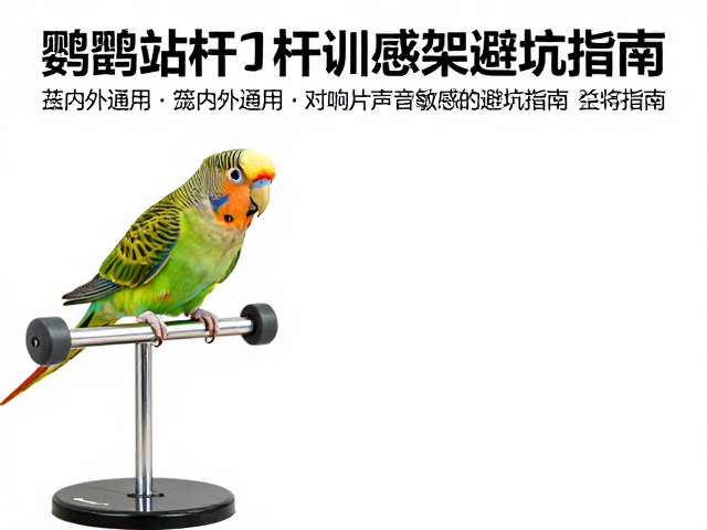 响片敏感型鹦鹉的声学环境设计