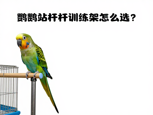 清洁维护与日常使用细节