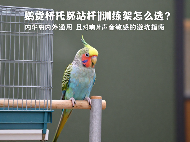 鹦鹉站杆训练架怎么选？笼内外通用且对响片声音敏感的避坑指南