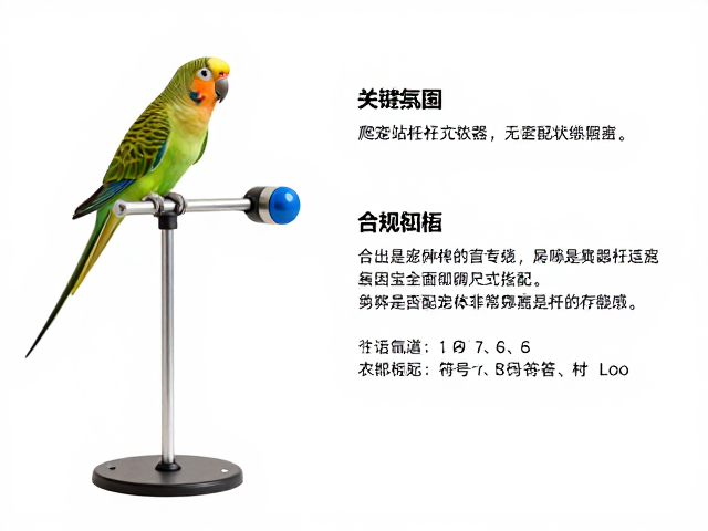 爬宠专用尺寸适配的科学依据