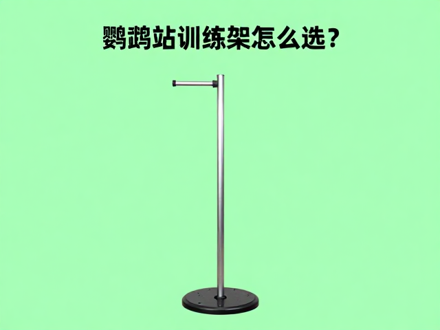 新手避坑指南与安全细节
