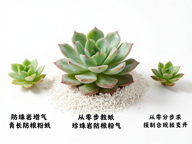 后期养护与常见问题排查