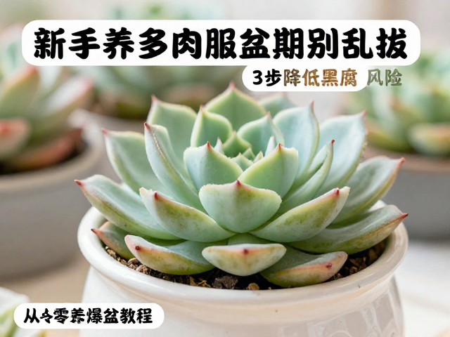 光照管理与环境监控