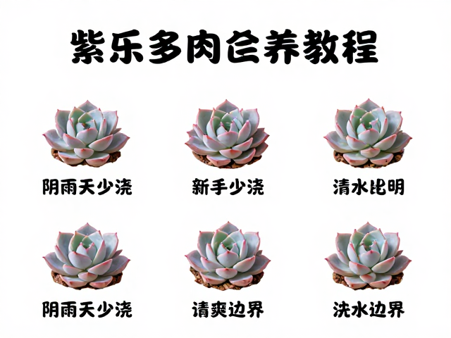 浇水策略需灵活，阴雨天严守边界