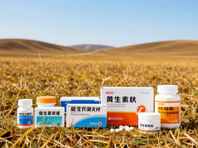 东北边境骑行攻略，秋季草原黄金期药品补给指南