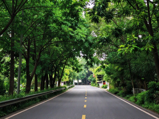 古镇串联短途游，穿越森林公路环线，邂逅绝美林荫自驾路